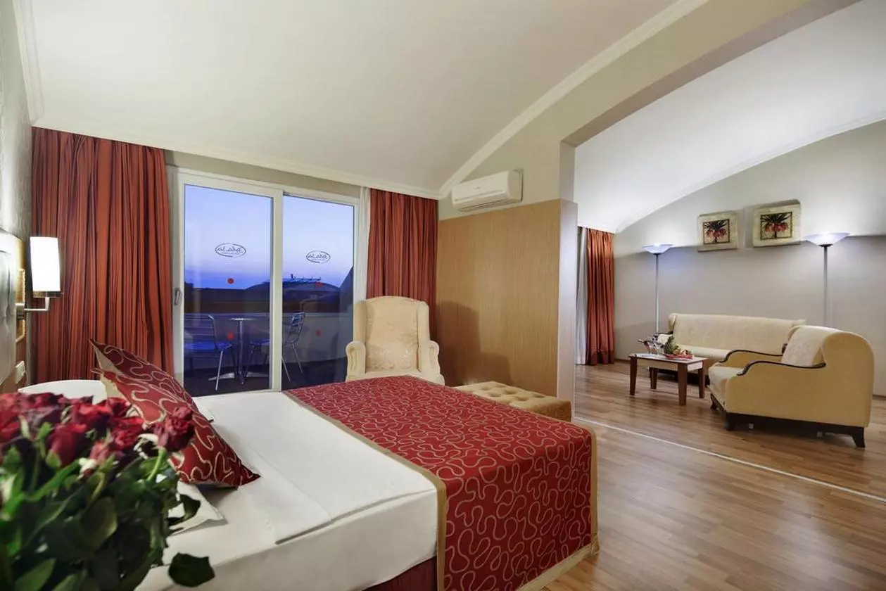 ALAIYE_SHABAVIZ (10).jpg